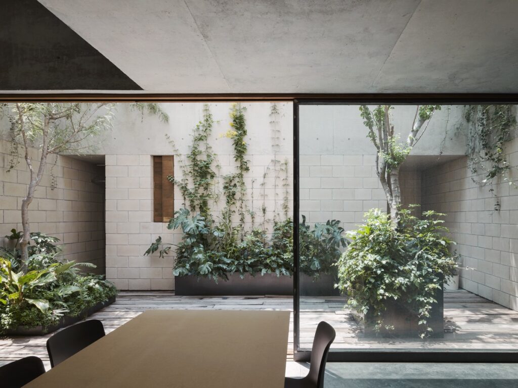 Captivating Courtyard Designs That Make Us Go Wow