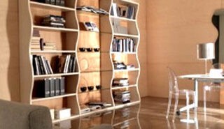 Bookshelves As Room Focus