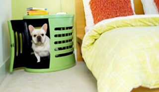 Spaces for Pets At Home