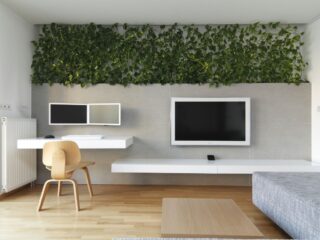 Designer Transforms Space With Indoor Plants