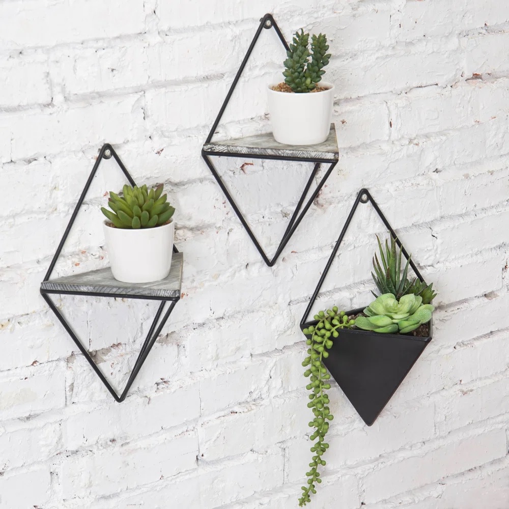 Geometric wall shelves with plants