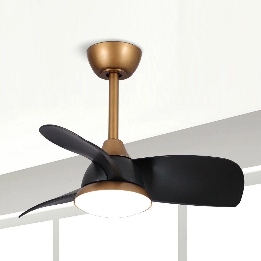 Small ceiling fan with brass housing and black blades