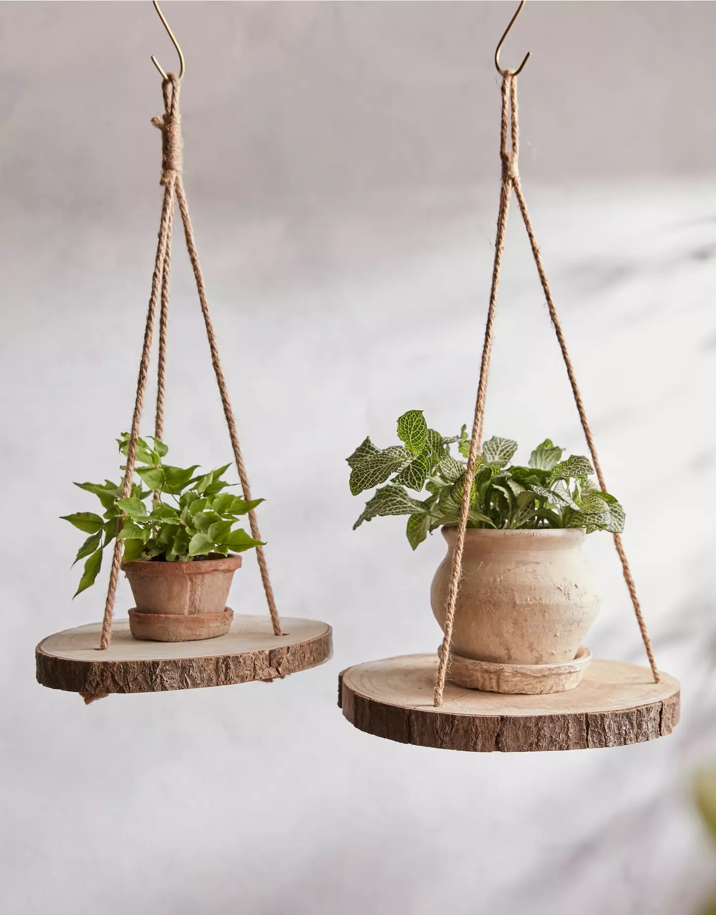 Tree slice hanging plant stands