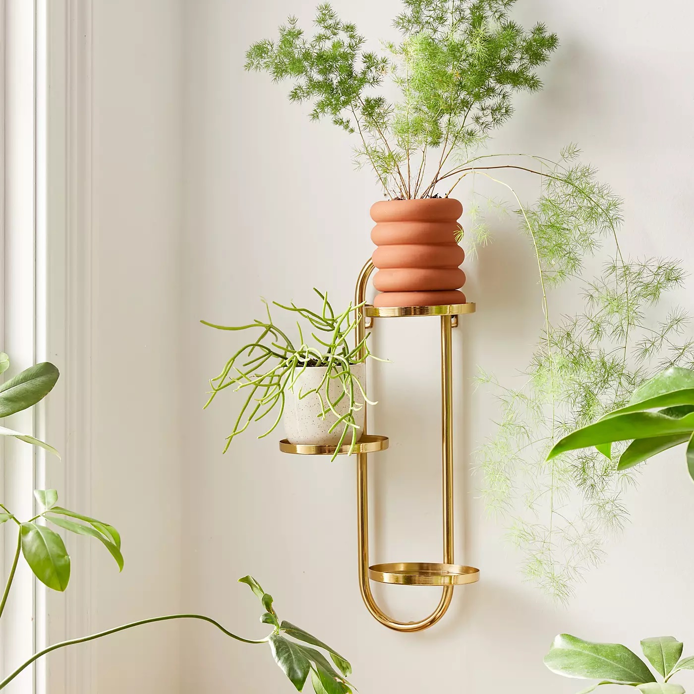 Gold wall-mounted plant stand with oval shape