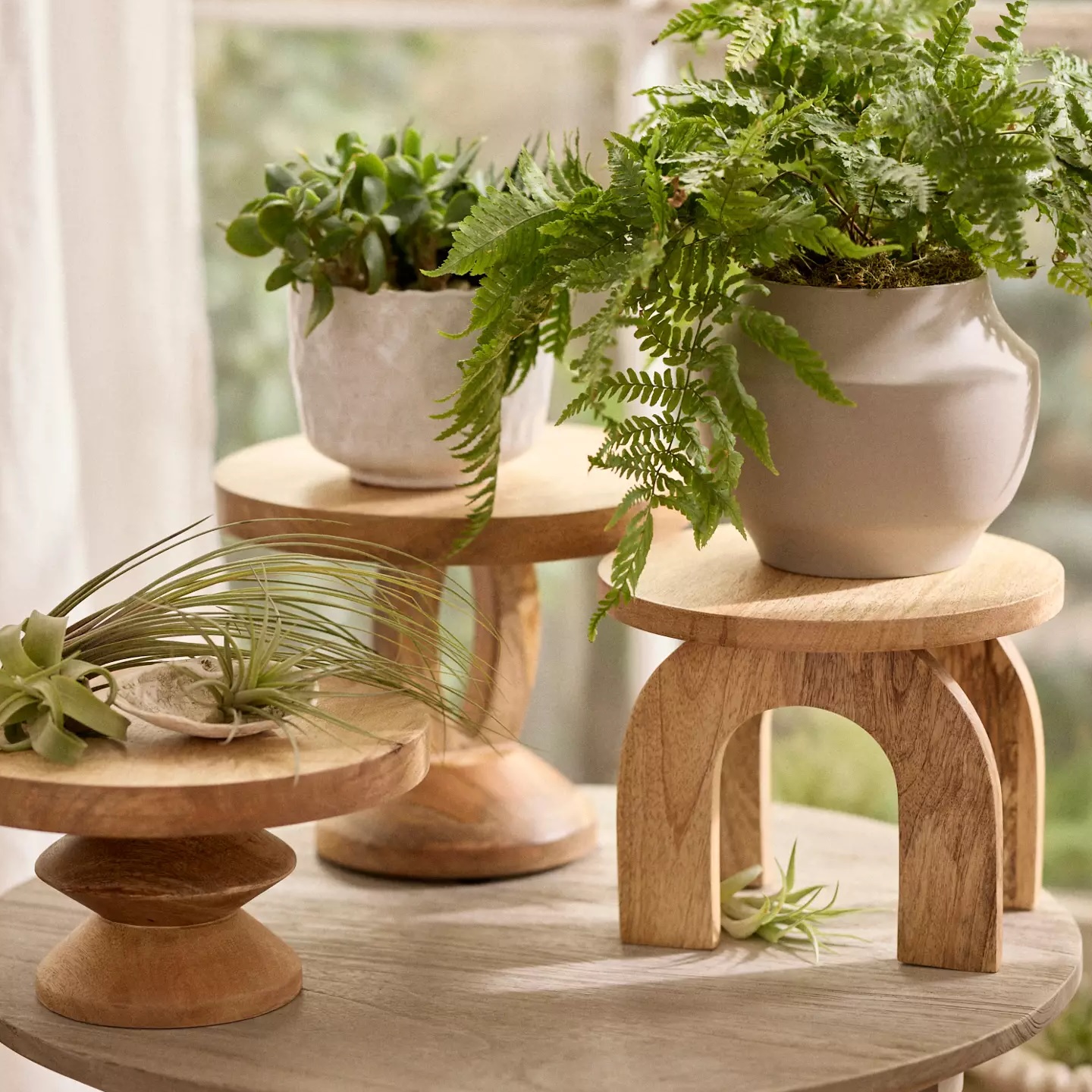 Sculptural wooden plant stands