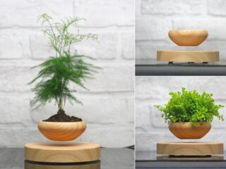 Cool Product Alert: Magnetically Levitating Planter