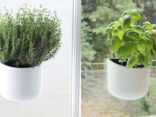 30 Indoor Herb Pots and Planters to Add Flavor to Any Home