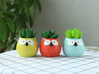 Product Of The Week: Ceramic Owl Succulent Planters