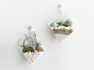 Product Of The Week: Wall Hanging Glass Planters