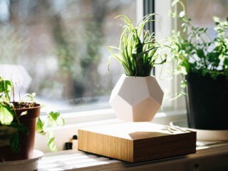 Product Of The Week: Lyfe Floating Planter