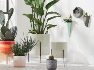 Product Of The Week: Beautiful Mid-Century Style Ceramic Planters With Stand