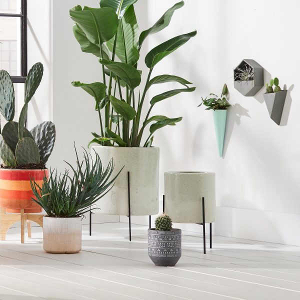 Product Of The Week: Beautiful Mid-Century Style Ceramic Planters With ...