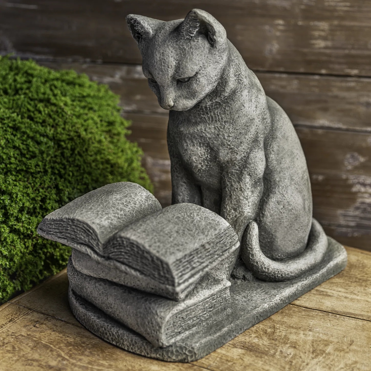 Garden statue shaped like a cat reading a book