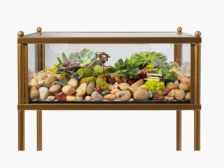 Product Of The Week: A Side Table With Built-in Terrarium Display