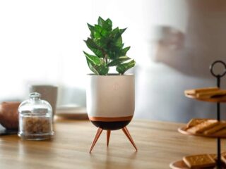 Product Of The Week: Gorgeous Plant Stands