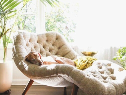 51 Chaise Lounge Chairs That You And Your Decor Will Love