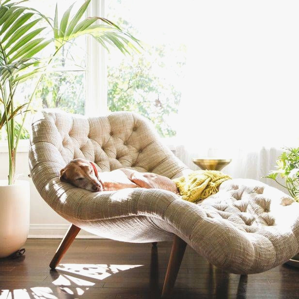 51 Chaise Lounge Chairs That You And Your Decor Will Love