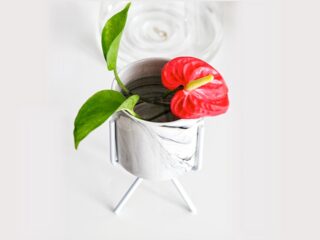 Product Of The Week: Beautiful Marble Finish Ceramic Flower Pots