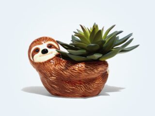 Product Of The Week: Cute Sloth Planters