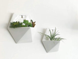 Product Of The Week: Beautiful Hexagonal Wall Planters