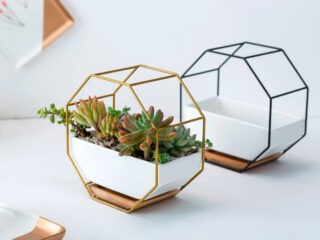 Product Of The Week: Modern Hexagonal Succulent Planters