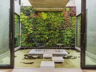 A House With A Vertical Garden And An Indoor Shark Pool