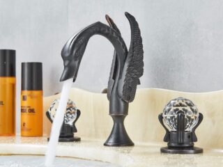 Product Of The Week: Unique Swan Shaped Faucet