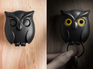 Product Of The Week: Magnetic Owl Keyring Holder