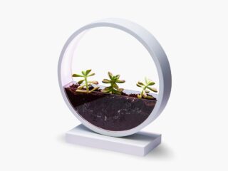 Product Of The Week: A Beautiful Ring Planter With Grow Lights