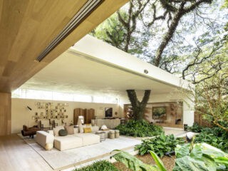 Brilliant Brazilian Houses Centered Around Trees