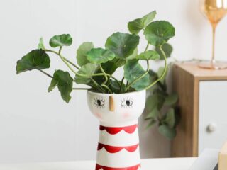 Product Of The Week: Cute Flower Vases To House Your Favorite Plant