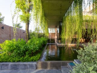 The Green Curtain House In Vietnam