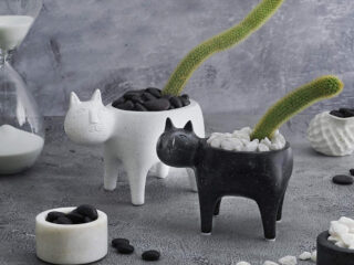 Product Of The Week: Cute Cat Planters