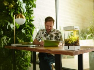 Product Of The Week: A Smart Terrarium