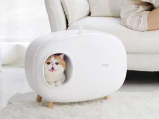 Product Of The Week: A Cute And Stylish Cat Litter Box