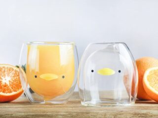 Product Of The Week: Cute Double Walled Bird Glasses