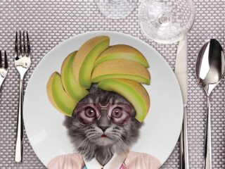 Product Of The Week: Funny Animal Ceramic Dinner Plates