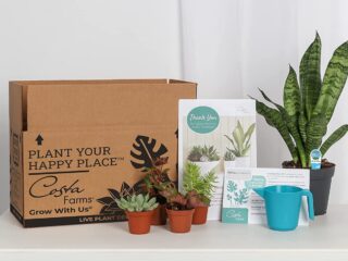 Product Of The Week: Plant and Succulent-Cactus Mix Subscription Box