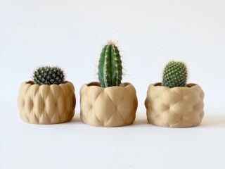 Beautiful 3D Printed Pots To House Your Favorite Succulents