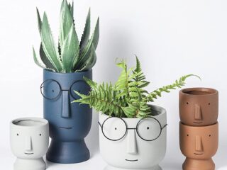 Product Of The Week: Novelty Ceramic Succulent Planters