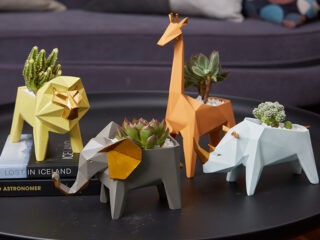 Product Of The Week: Animal Succulent Planters