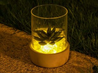 Product Of The Week: Artificial Succulents With Ambient Light Timer