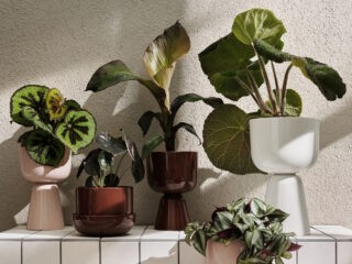 51 Large Planters to Upgrade Your Plant Game