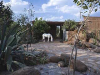 Flintstones Style House In India (With Floor Plans)