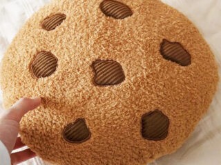 Product of the Week: Chocolate Chip Cookie Pillow