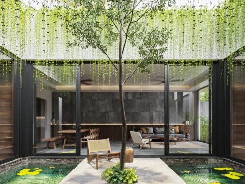 courtyard with tree