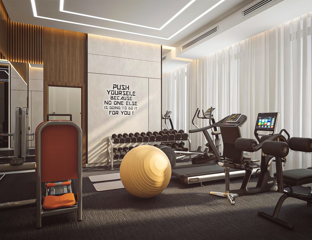 Modern Home Gym style