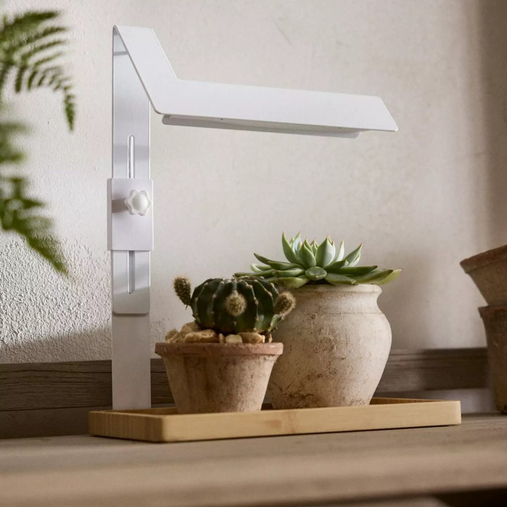 White grow light with wood tray