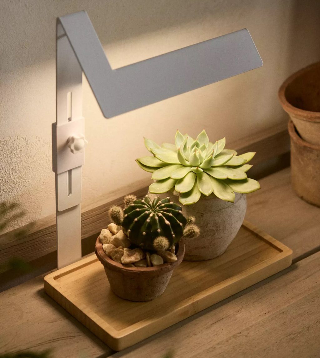 Stylish grow light from above