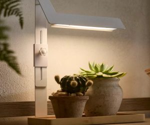 Modern white and wood grow light